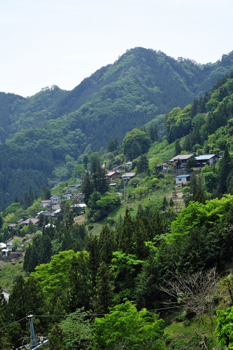 半納集落からみる沢戸集落。標高は500ｍ前後。南斜面に面しているので山にしては暖かいところ。