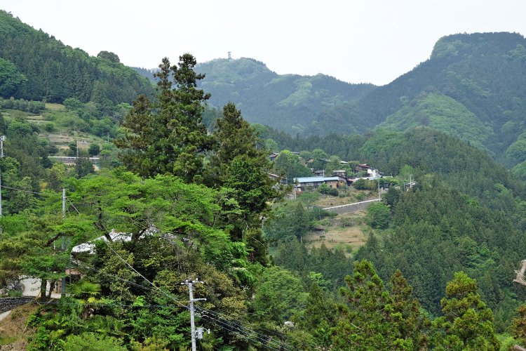 沢戸から眺めた半納の集落。アンテナが立っているところが、城峯山の山頂。
