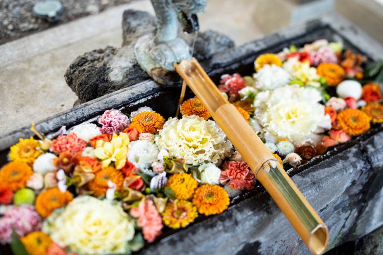 東久留米9南沢氷川神社