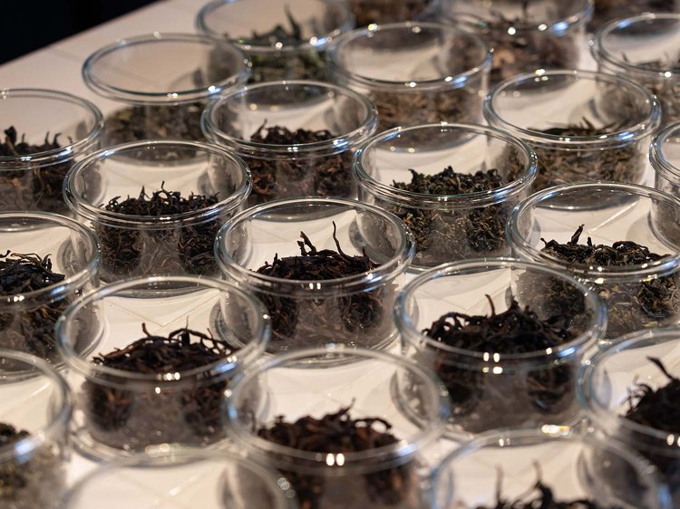 【Re:leaf Record】7T+