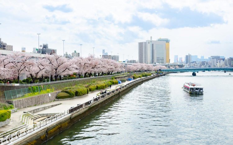 【東京おでんだね】おでんとお花見