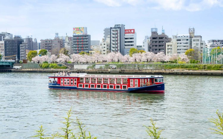 【東京おでんだね】おでんとお花見