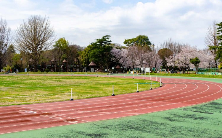 【東京おでんだね】おでんとお花見