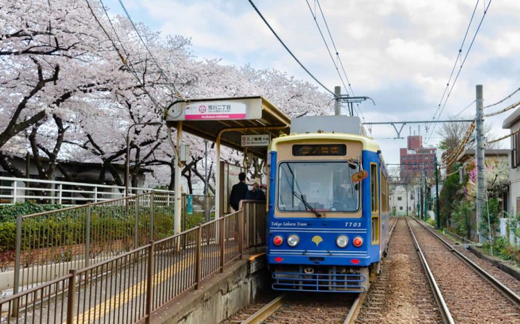 【東京おでんだね】おでんとお花見