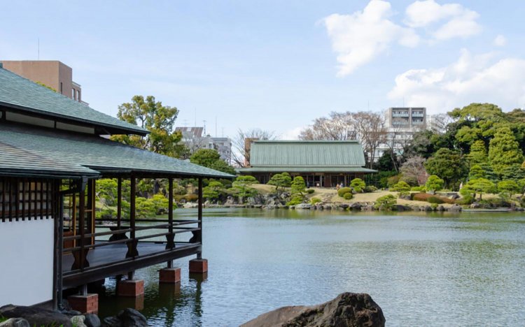 【東京おでんだね】おでんとお花見