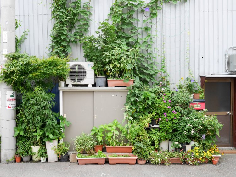 物置の上に乗る、珍しい小型の室外機。周囲を緑が覆う。