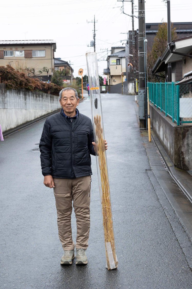 見本用の柳久保小麦を持つ高橋さん「草丈が高いぶん、茎もしっかりとした太さです」