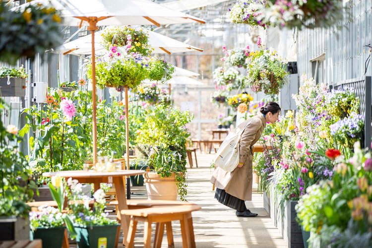 アトリエローズファーム193328