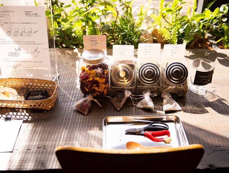 いばらきフラワーパーク193357