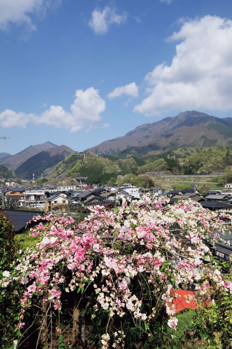 自徳寺付近から初狩駅方面を望む。左手奥の尖った山は滝子山。