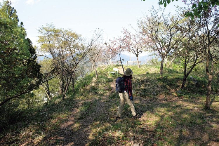 展望のいいむすび山の山頂。ここはカタクリの群生地でも知られている。