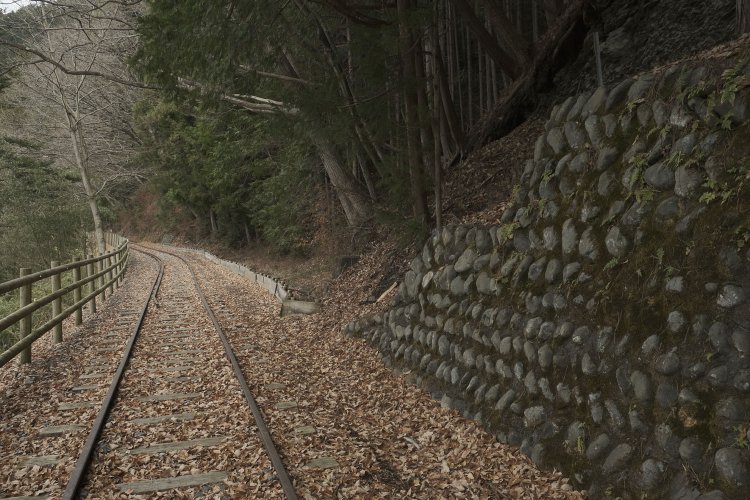 トンネルを出た先も山の中を進んでいく。振り返って撮影したので左手が斜面になっている。谷積みの石垣は苔むしていて、建設された月日を物語っている。2019年12月26日