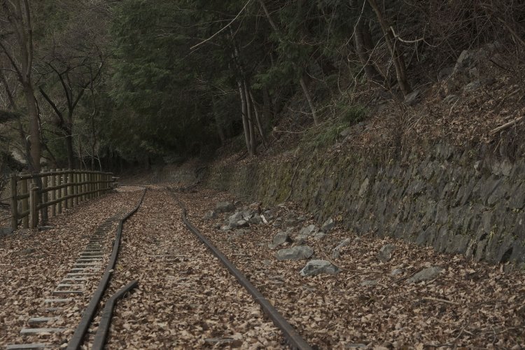 レールは途中でぐにゃっと曲がっていて、もう列車が走ることは不可能だ。小規模な落石か土砂崩れか、何か自然の作用でレールが一部動いてしまったらしい。2019年12月26日