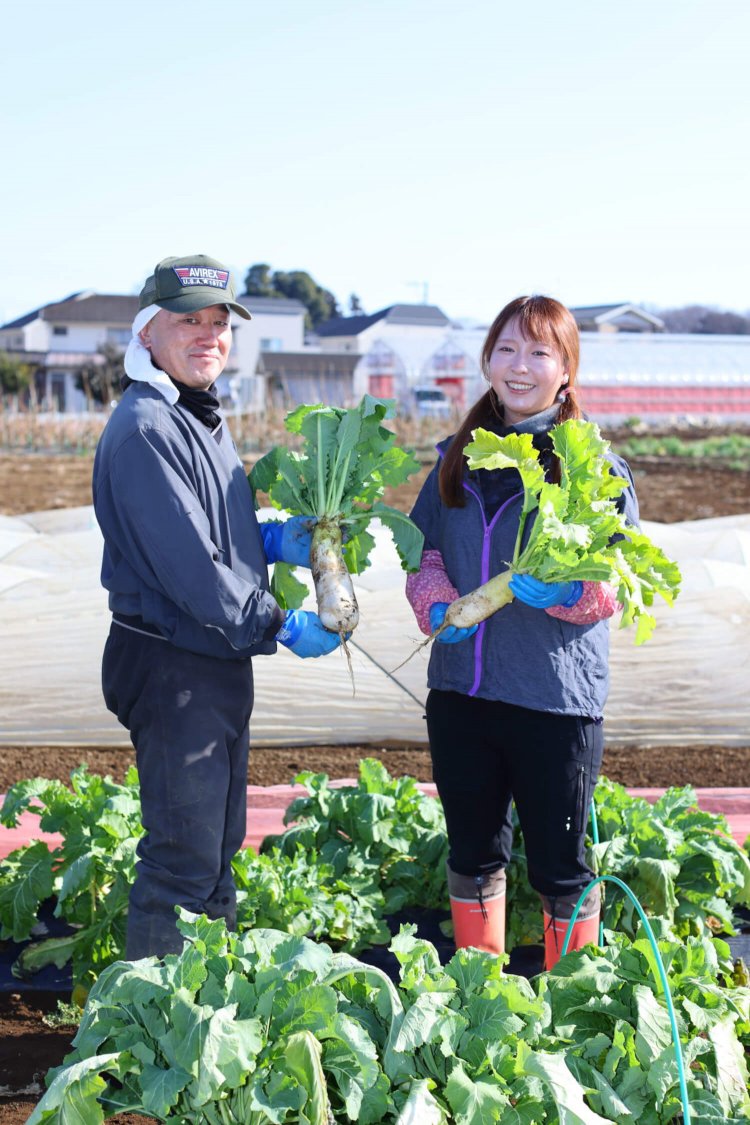 年間を通じて約40種を栽培。この日は品川カブを収穫。