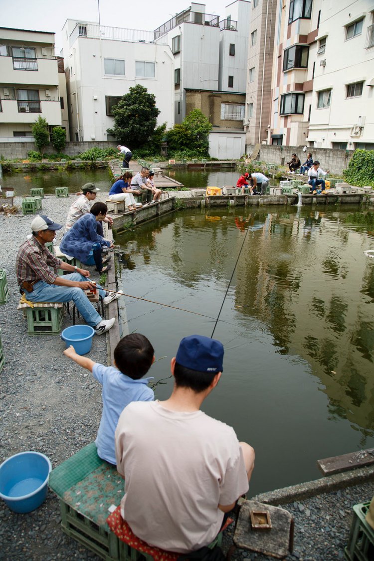 杉並区民の心のオアシス『寿々木園』。