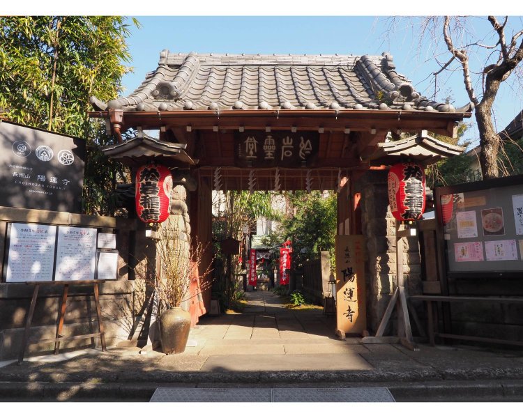 戦後の創建とは思えないような風格のある山門。親しみやすく温かい雰囲気だ。