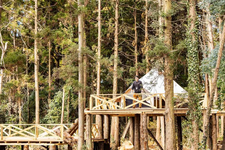 都心の近くにウサギもキジも暮らす大自然が！