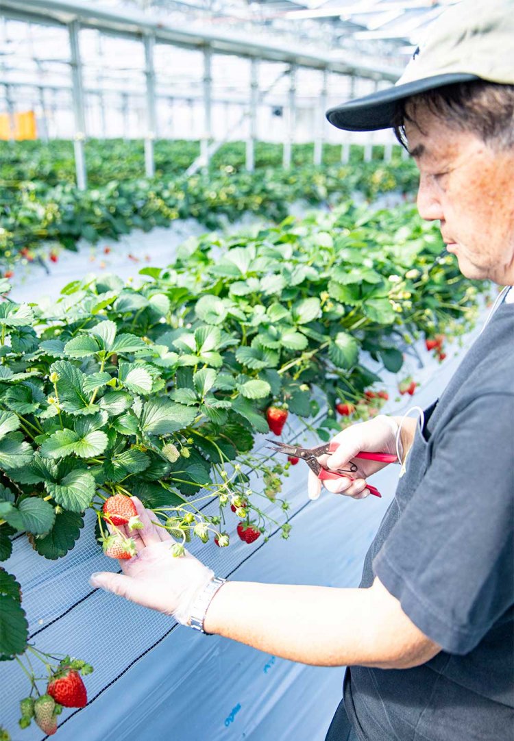【散歩の達人】柏さんぽ～オレの街から街のオクへ～