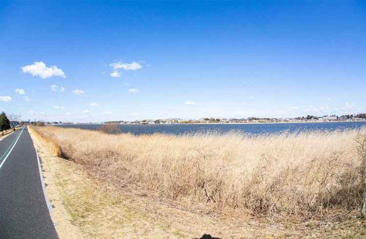 周囲長38㎞の手賀沼は、周りに遊歩道が整備され、春は桜が美しい。釣りやカヤック、バードウォッチングに興じる人も。