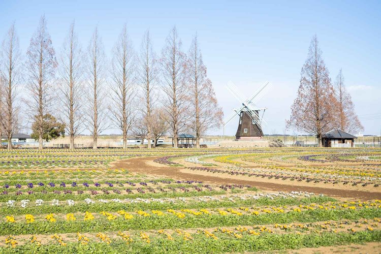 【散歩の達人】柏さんぽ～オレの街から街のオクへ～