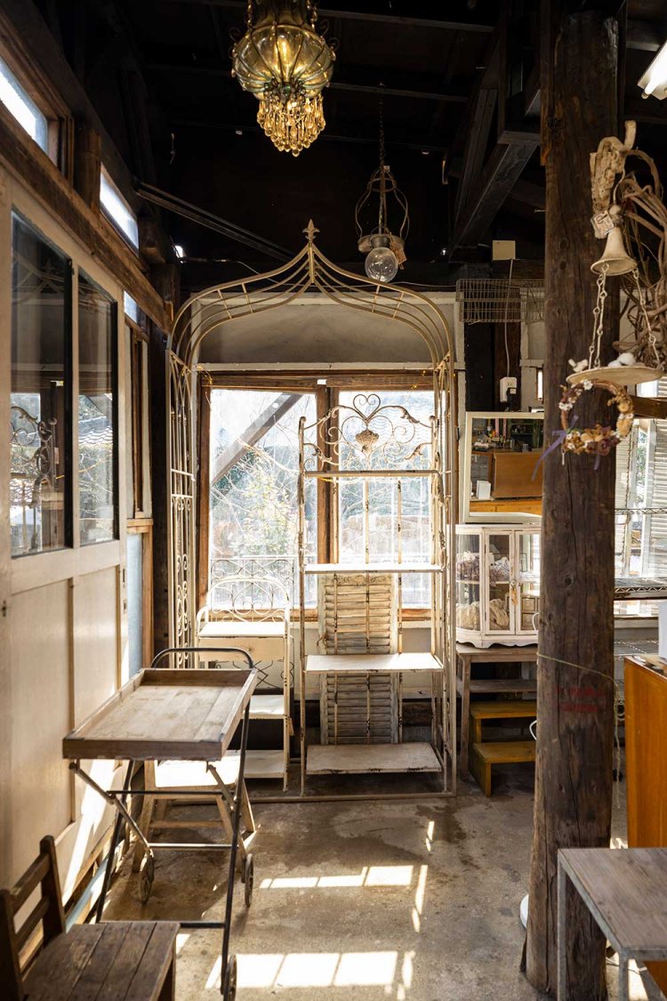 【散歩の達人】柏さんぽ～オレの街から街のオクへ～