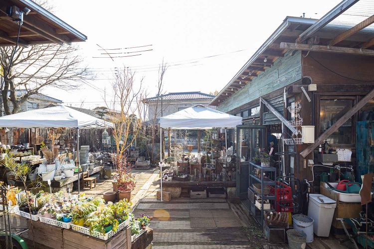 【散歩の達人】柏さんぽ～オレの街から街のオクへ～