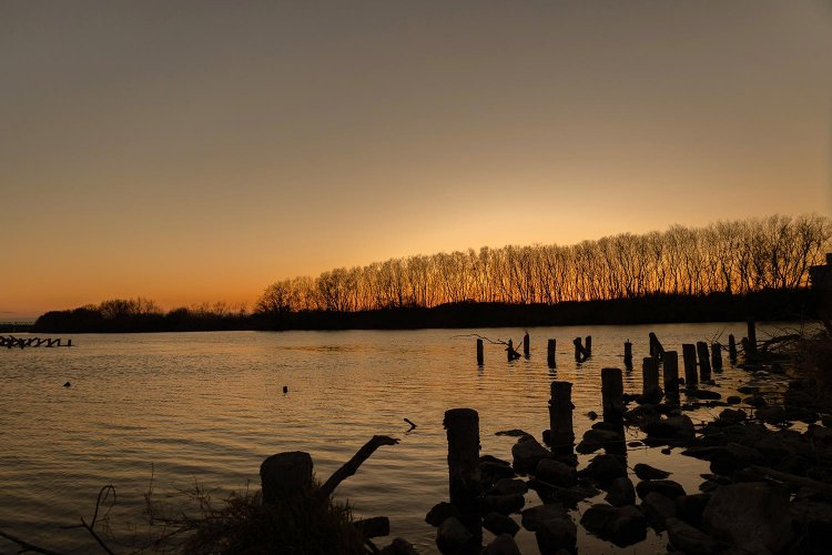 流鉄流山駅付近の江戸川の夕景。中州の樹木のシルエットが郷愁を誘う。