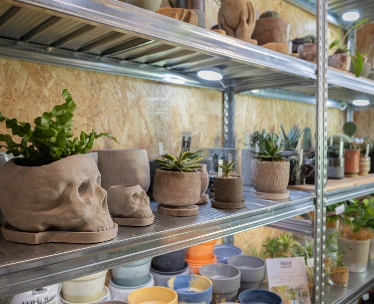 【散歩の達人】流山さんぽ～鼓動高鳴るフロンティアスピリット～