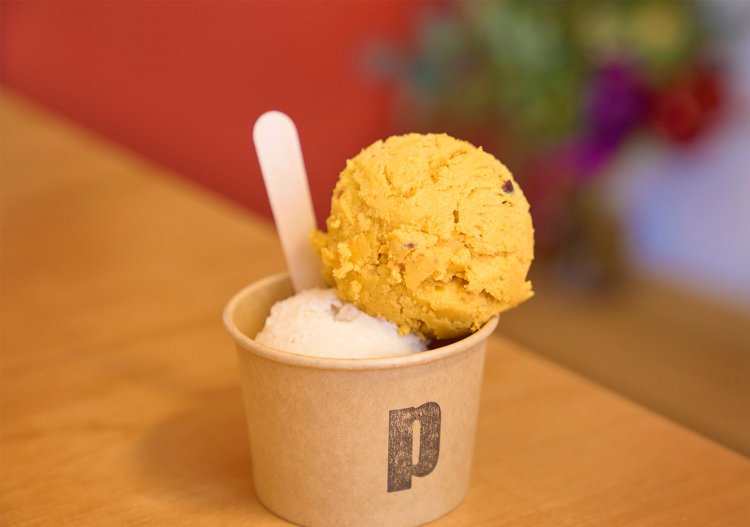 【散歩の達人】野田さんぽ