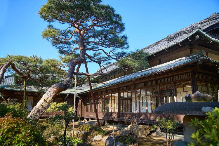 【散歩の達人】野田さんぽ