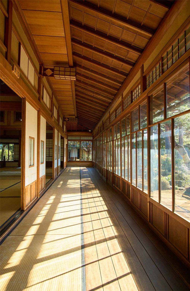 【散歩の達人】野田さんぽ