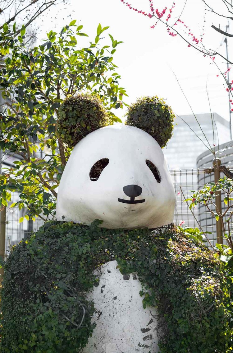 「春はボクの体も緑全開だよ」