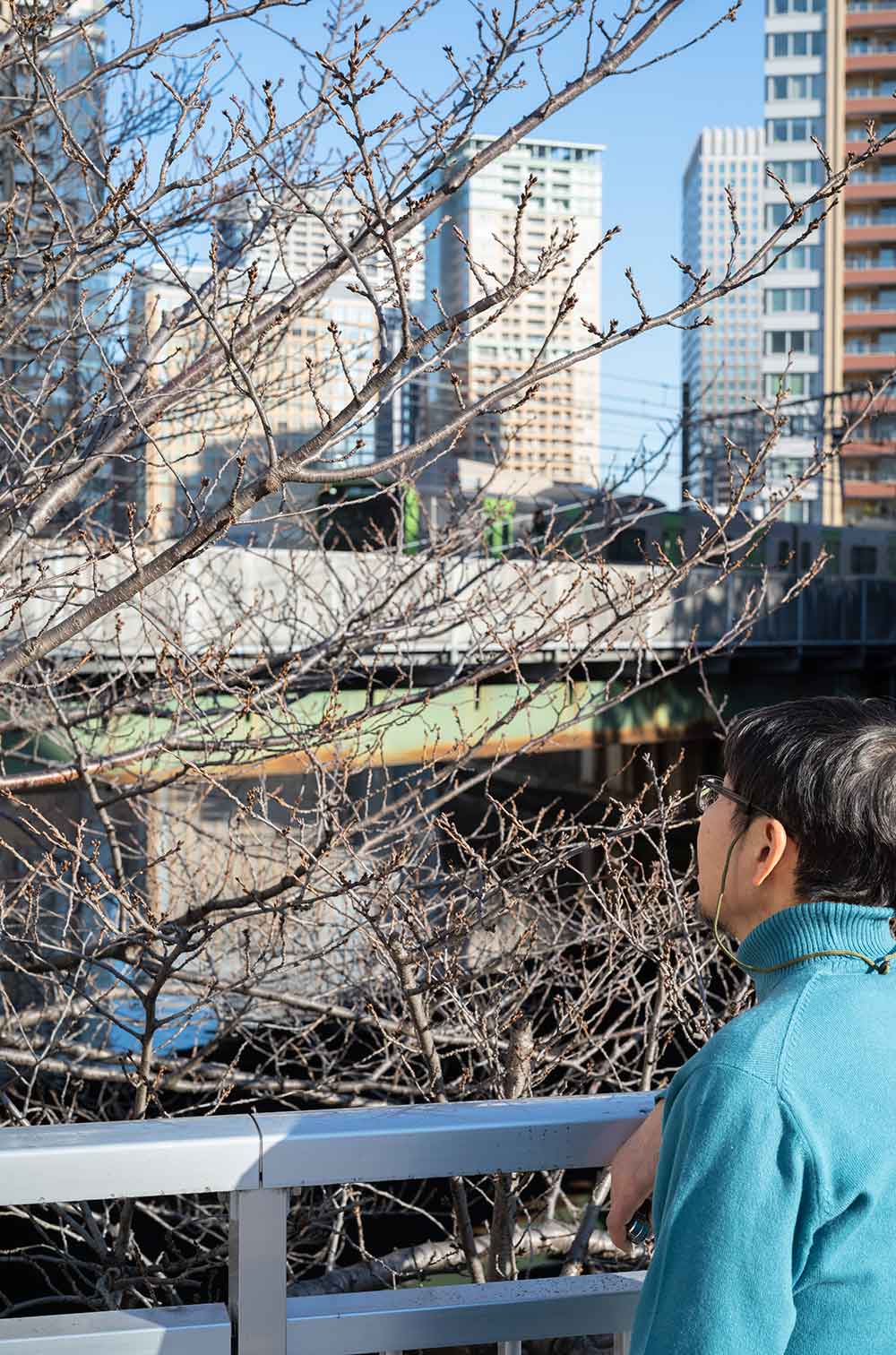 桜は目の前、その先は山手線。五反田のふれあいK字橋では植物にも鉄道にも触れられる。