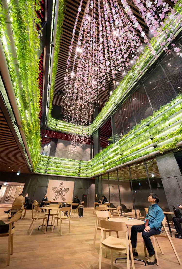 【散歩の達人】園芸おじさまの植物愛の記