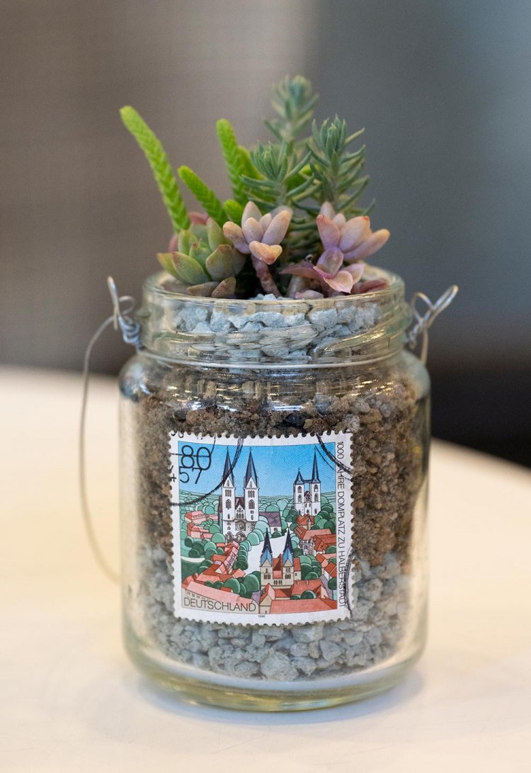 【散歩の達人】園芸おじさまの植物愛の記