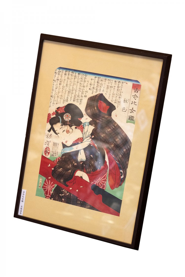 【散歩の達人】園芸おじさまの植物愛の記