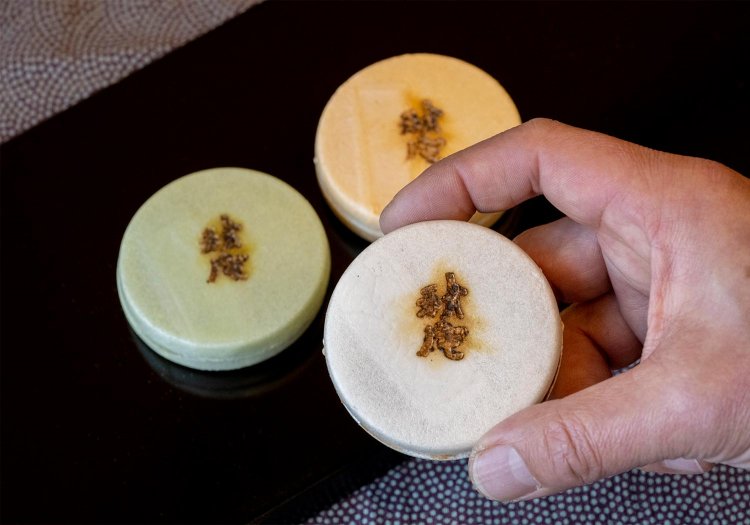 【散歩の達人】園芸おじさまの植物愛の記