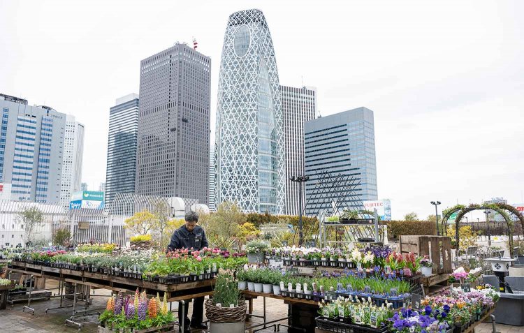 【散歩の達人】園芸おじさまの植物愛の記