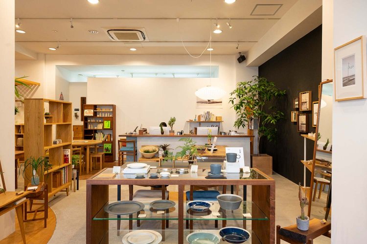 【散歩の達人】園芸おじさまの植物愛の記