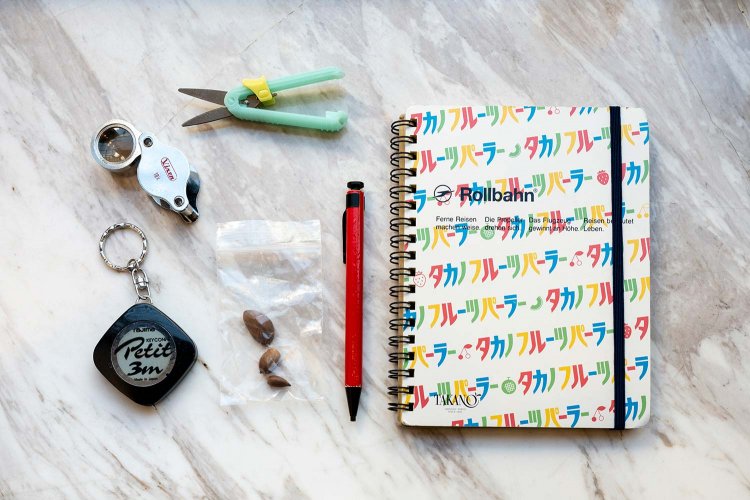 （左上から時計回りに）ルーペ、ミニハサミ、ノートブック、ペン、保存袋、メジャー。