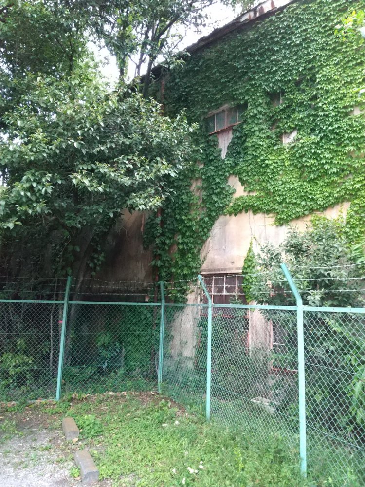 美術館通りの歩道を歩いているとこうして廃墟に出くわす。フェンスが建物ギリギリにあって、昭和の時代からストップしている空間と令和の現代空間とが隔てられていた。