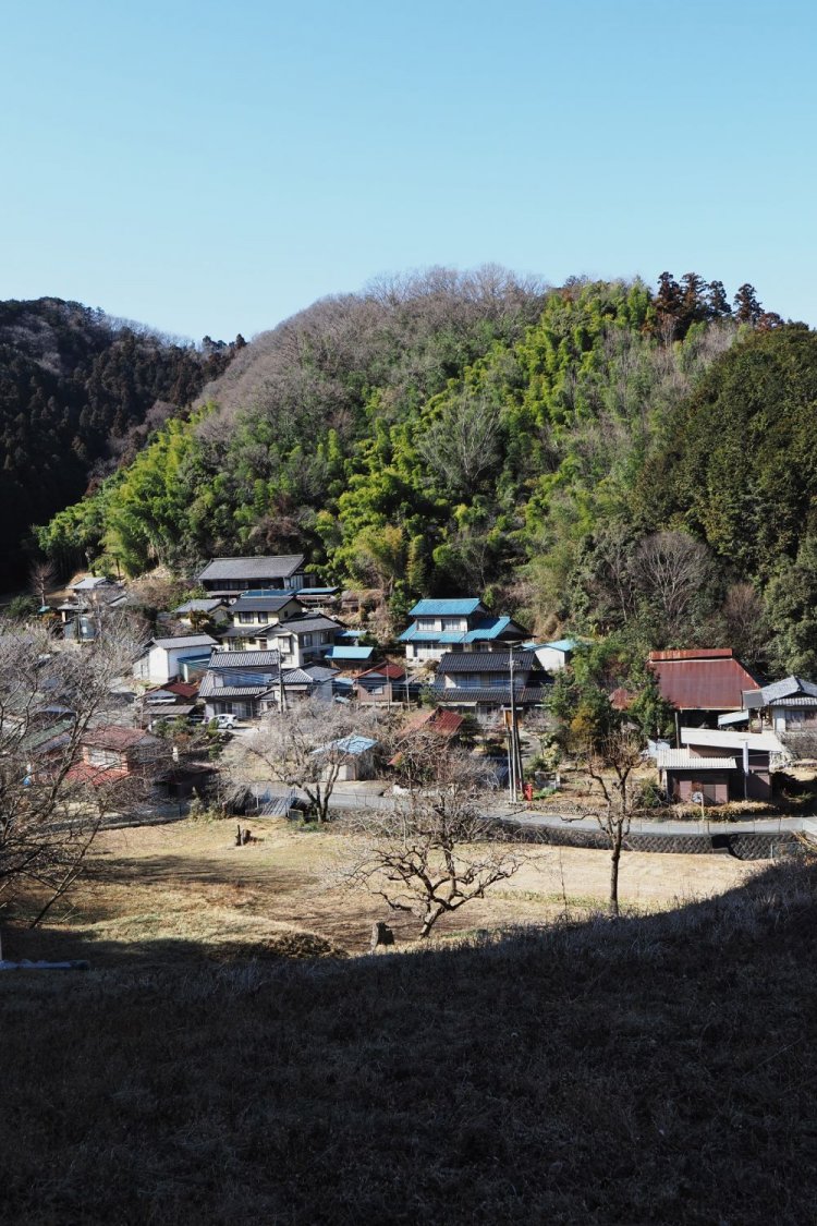 勝呂（すぐろ）の集落の北側にある木呂子の集落。小高い山の麓に家々が集まって立っている。