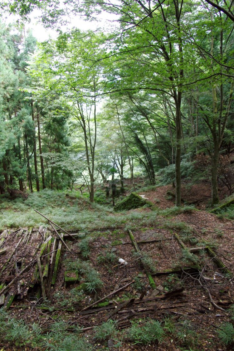 倉沢の廃村跡。というよりここは奥多摩工業の社宅跡。日原地区に新しく社宅をつくったので、昭和40年ごろには無人になった。