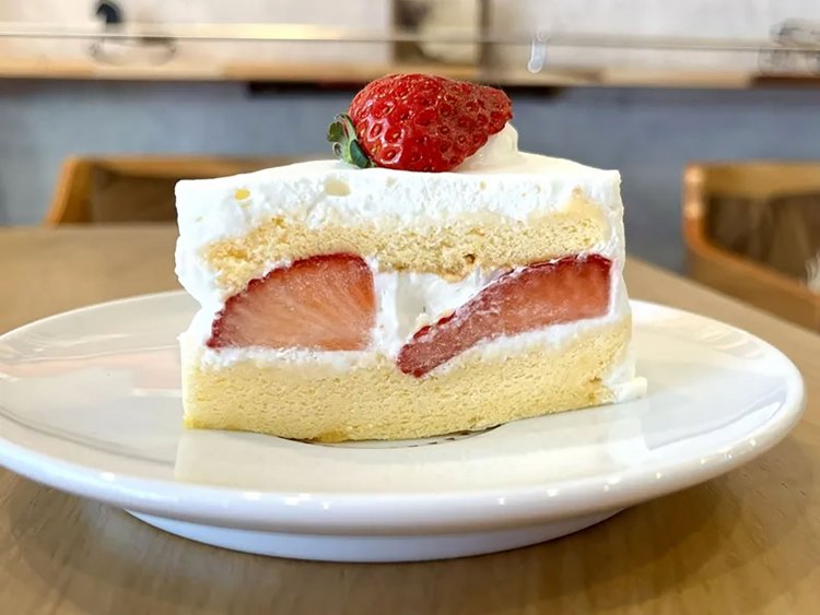 【としまらいふ】Filomena