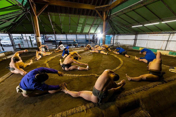 見事な股割り。柔軟運動も欠かせない。