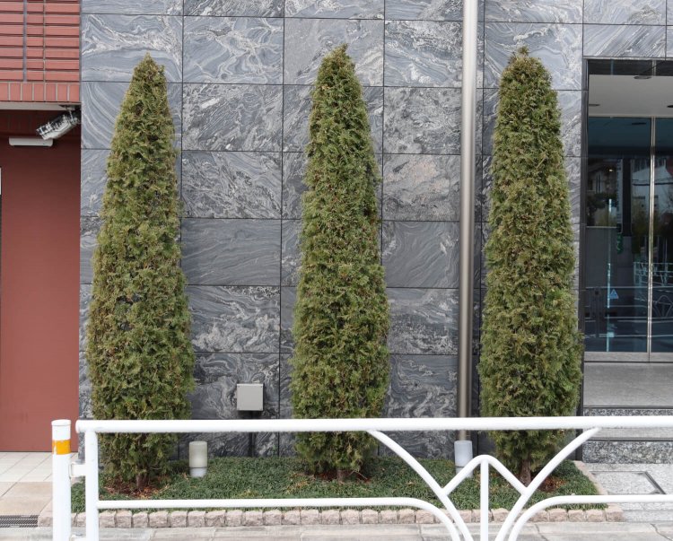 「見た目はそっくり。だけど、性格はけっこう違うんです」。