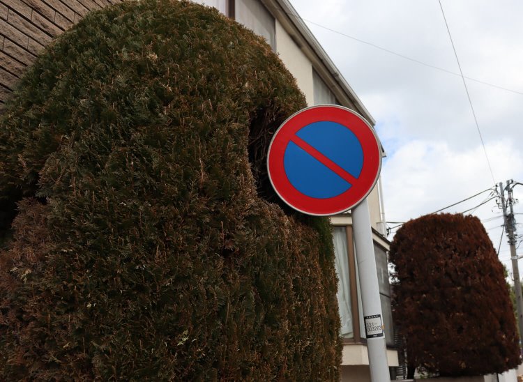 「なんでこんなにおなかが空くのかなぁ〜（パクパク）」。