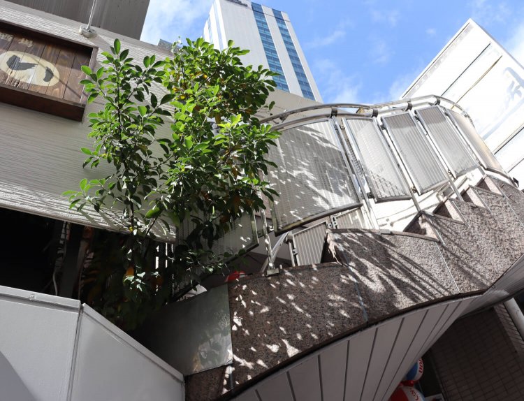 「狭いけれど意外と快適な、都会の新天地！」。