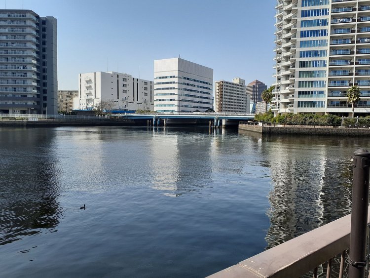 北品川から京浜運河まで東西に流れる天王洲運河と、目黒川と芝浦を南北に結ぶ高浜運河の交差地点。高浜とは高輪の浜の意。