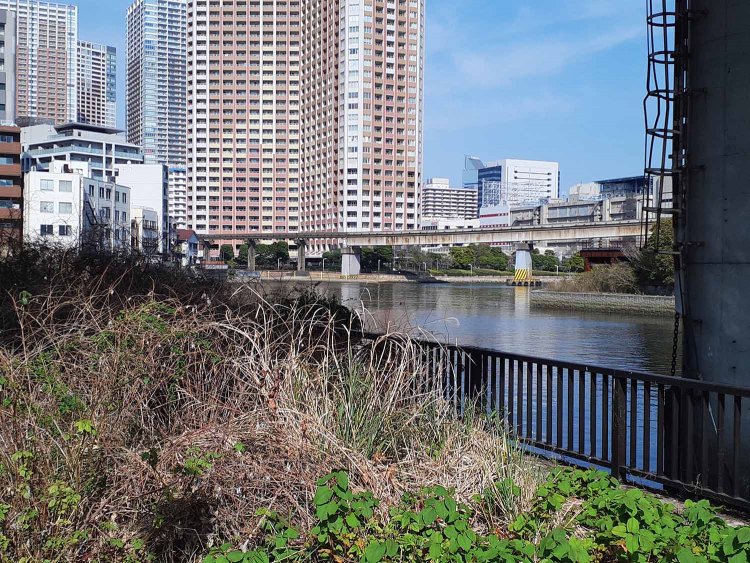 浜路橋北側の高浜運河。奥のタワマンとは対称的に荒涼とした風景が。高輪ゲートウェイなども近いので、今後開発が進むか。